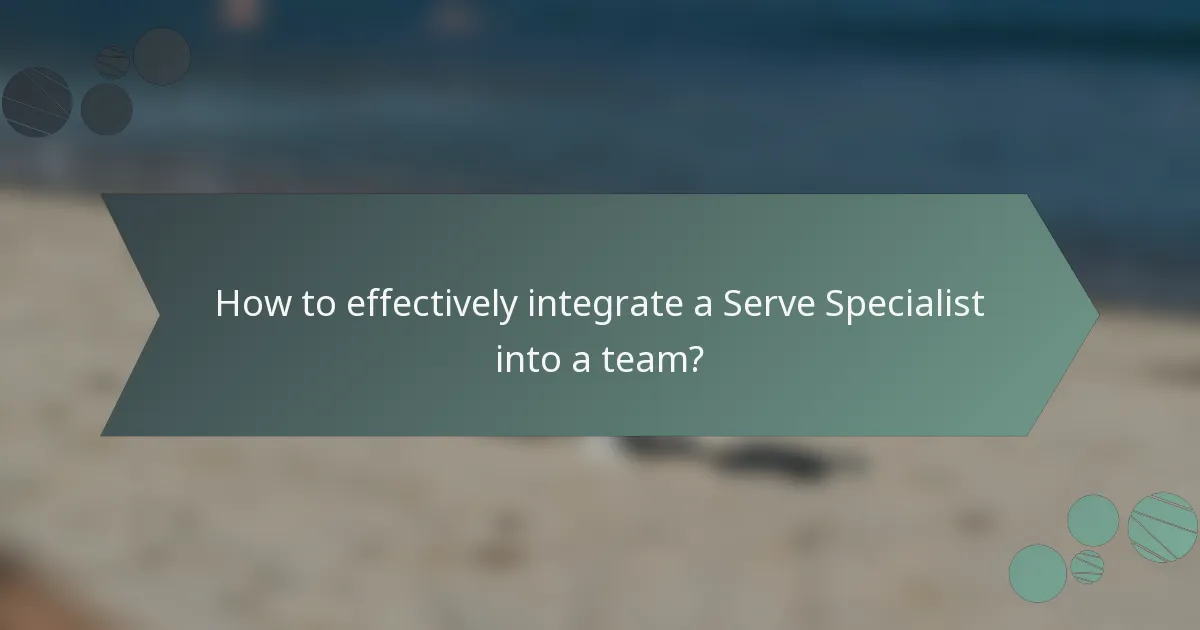 How to effectively integrate a Serve Specialist into a team?