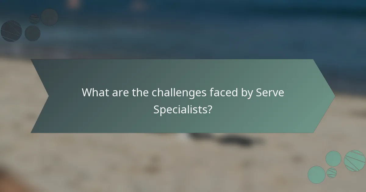 What are the challenges faced by Serve Specialists?