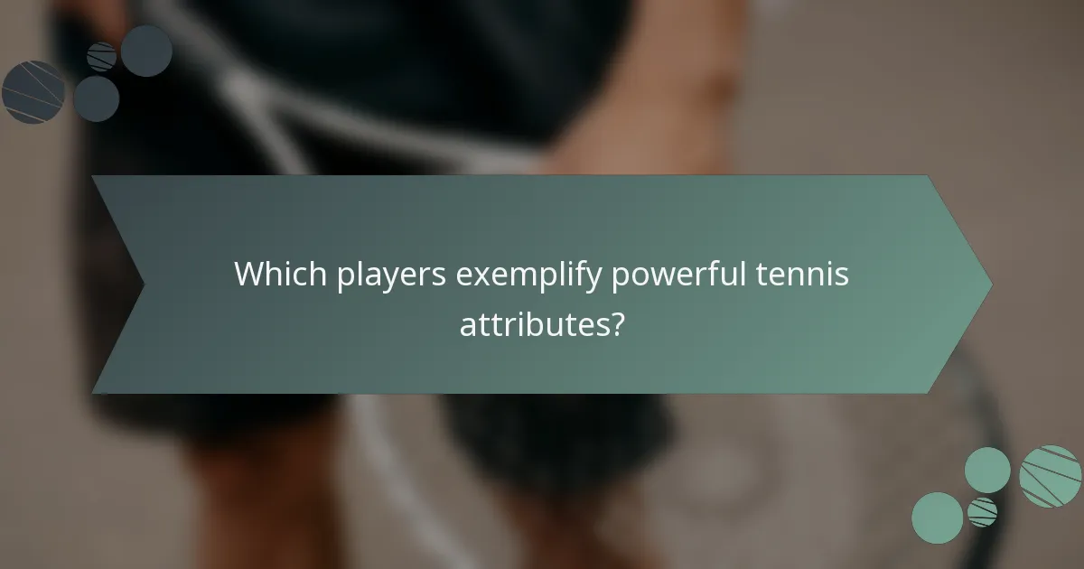 Which players exemplify powerful tennis attributes?